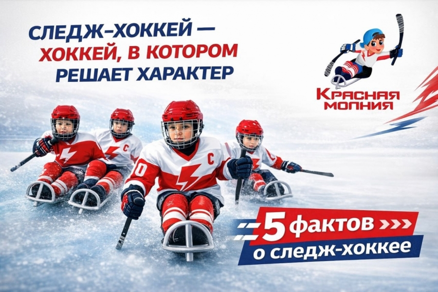 Следж-хоккей &mdash; хоккей, в котором решает характер