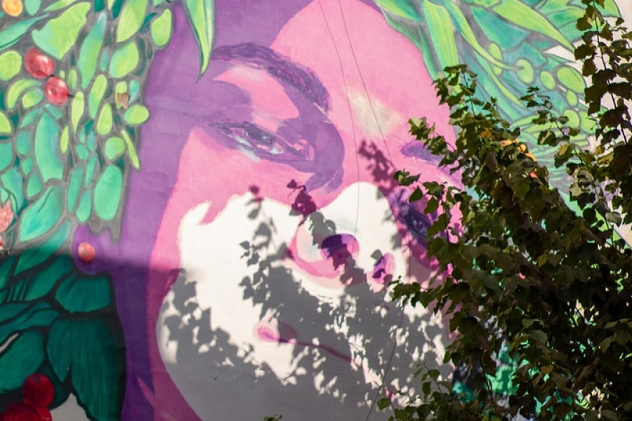 На Вавилова цветут цветы