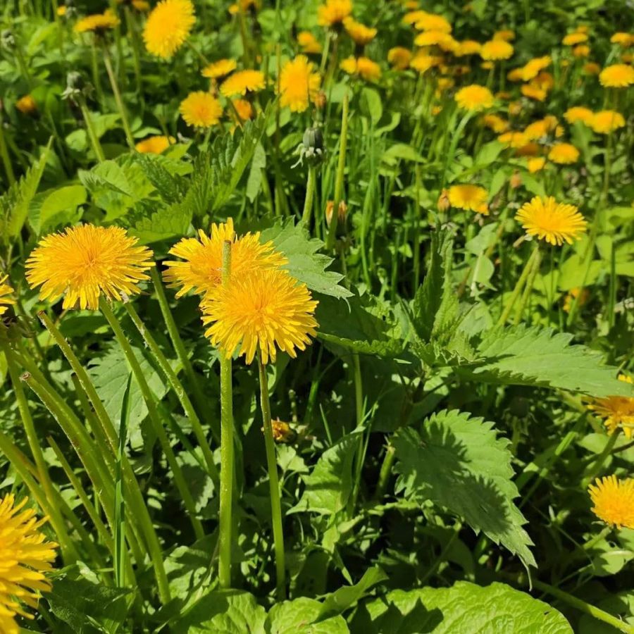 Расписание на неделю 24.05.2021 &ndash; 30.05.2021