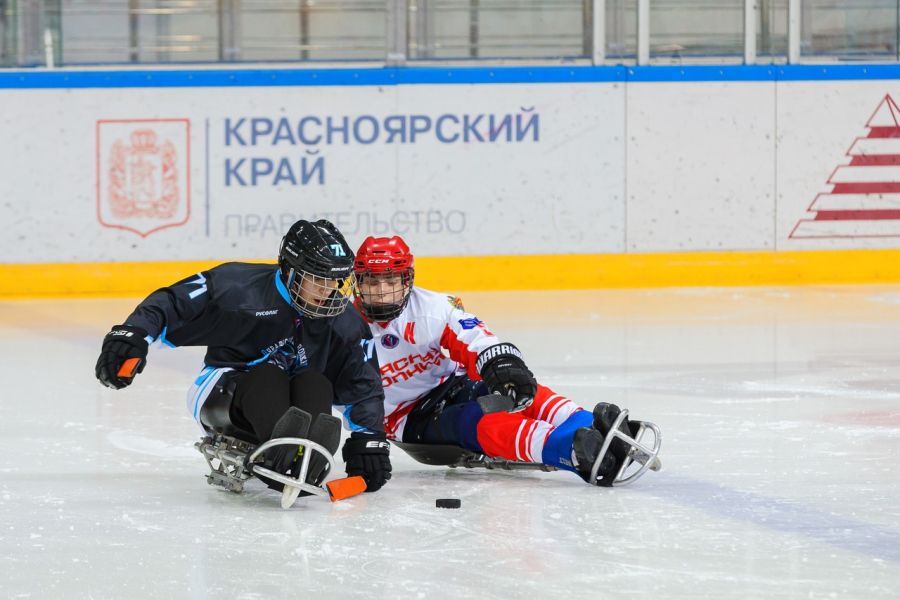 В Красноярске стартует турнир по следж-хоккею «Енисейский лед»