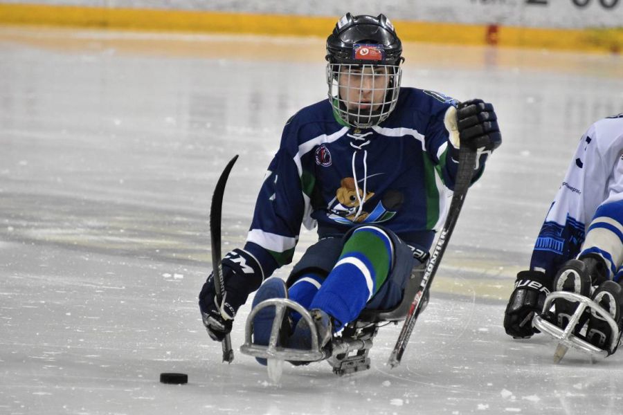 И еще фотоальбом. Матч Мамонтята Югры и Сборная Новосибирской области
